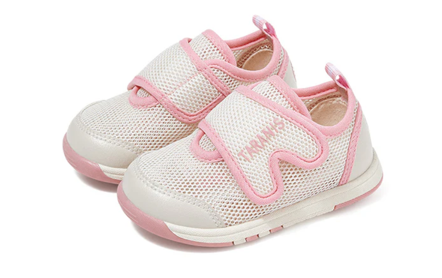 Сеткэн пүүз