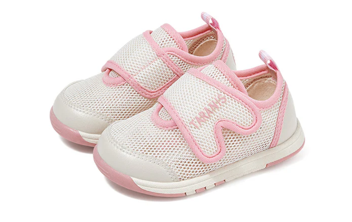 Сеткэн пүүз