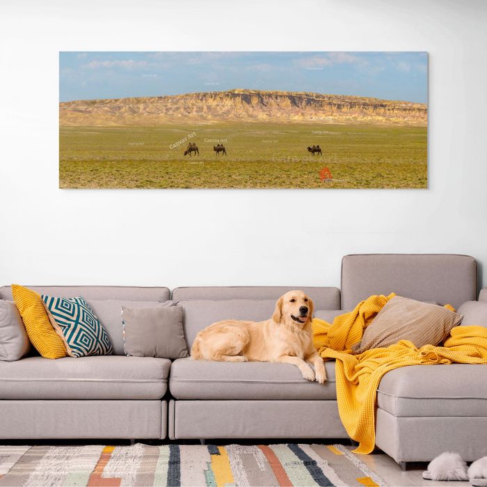 Цагаан суварга 