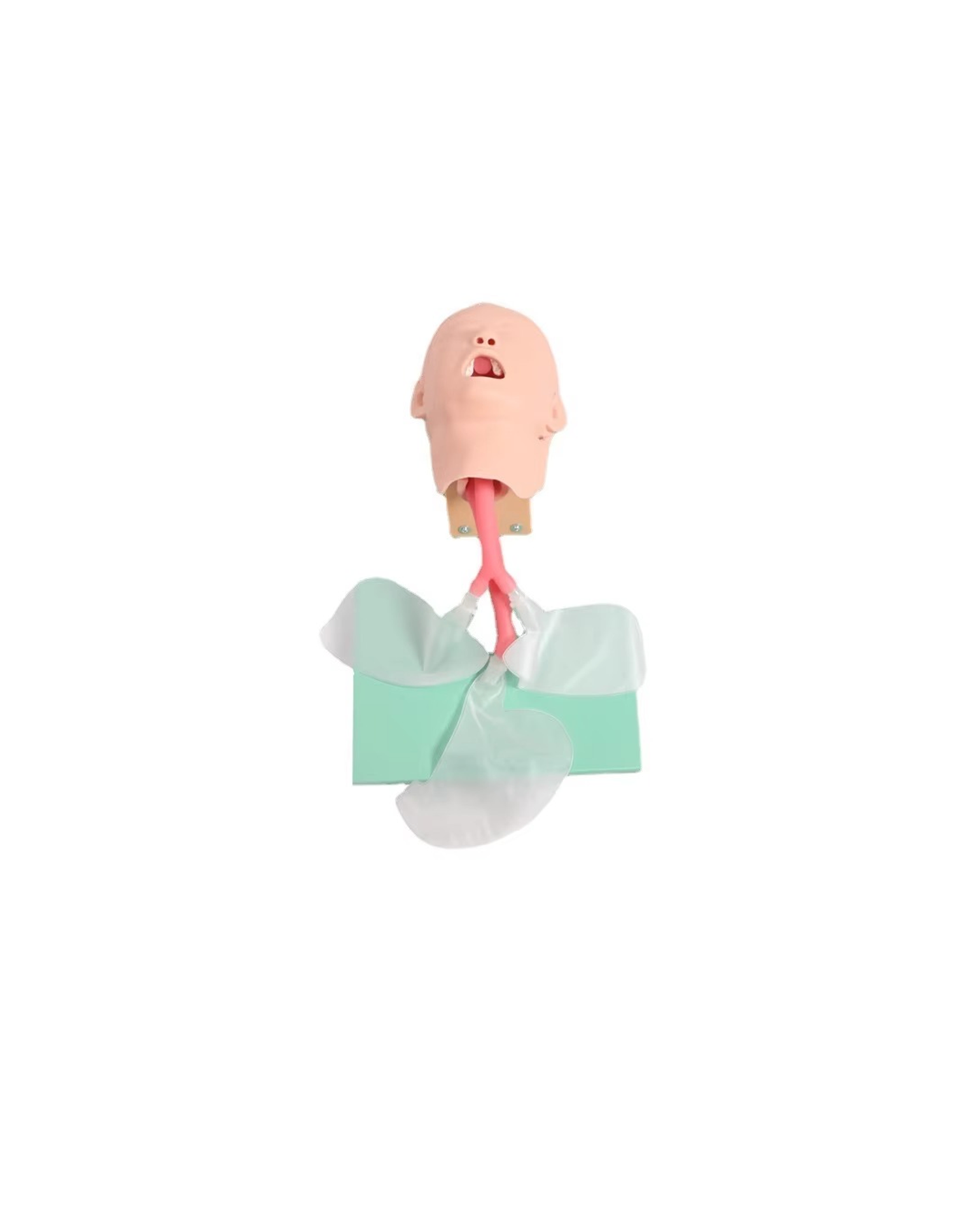 Хүүхдийн интубацийн загвар