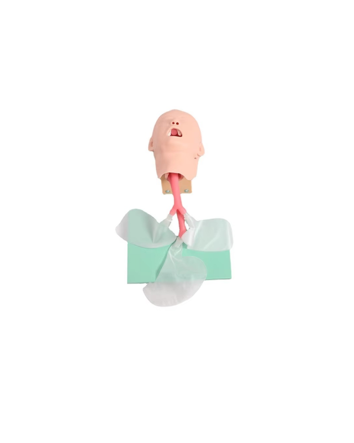 Хүүхдийн интубацийн загвар