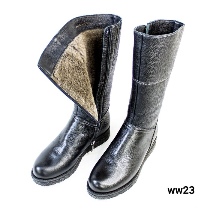 Francesco donni   /ww23/