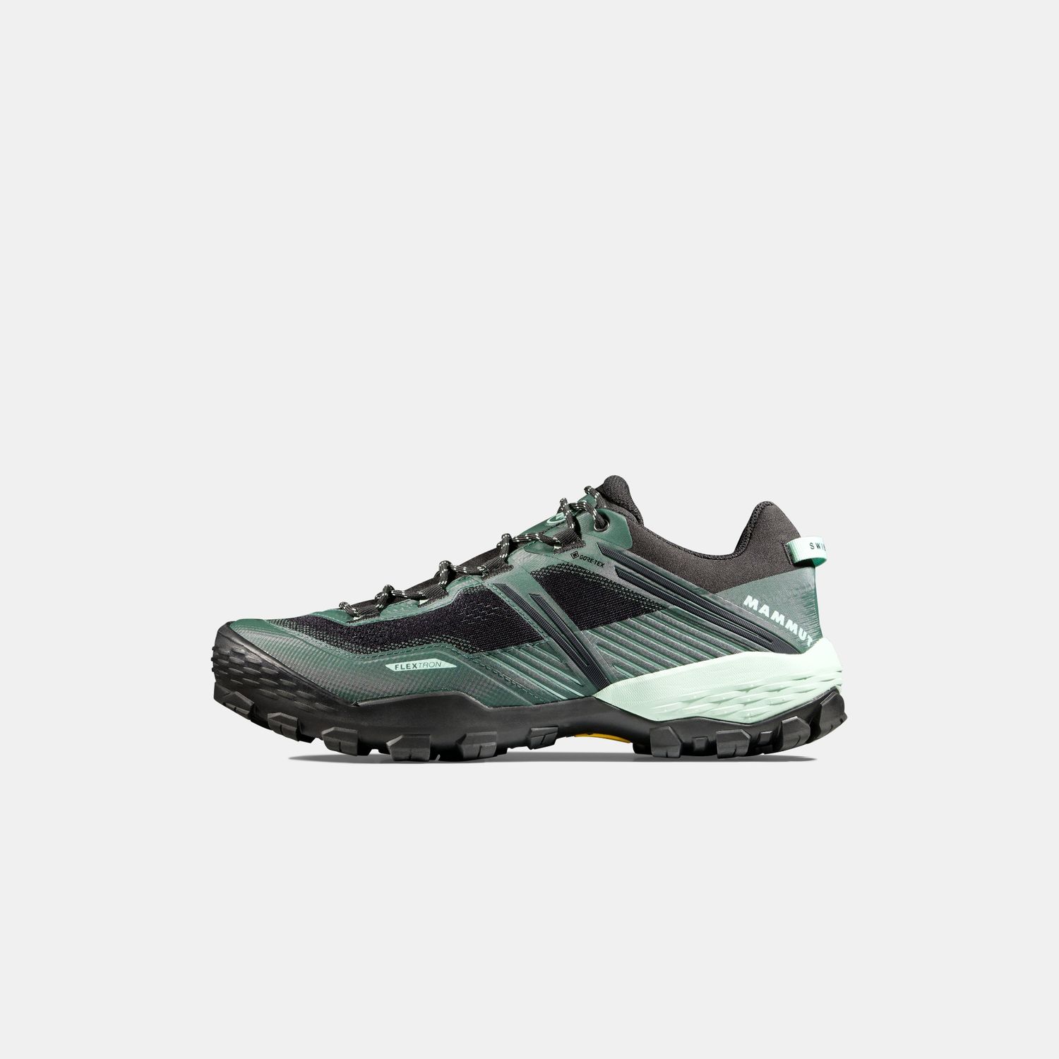 MAMMUT | Ducan II Low GTX | Men