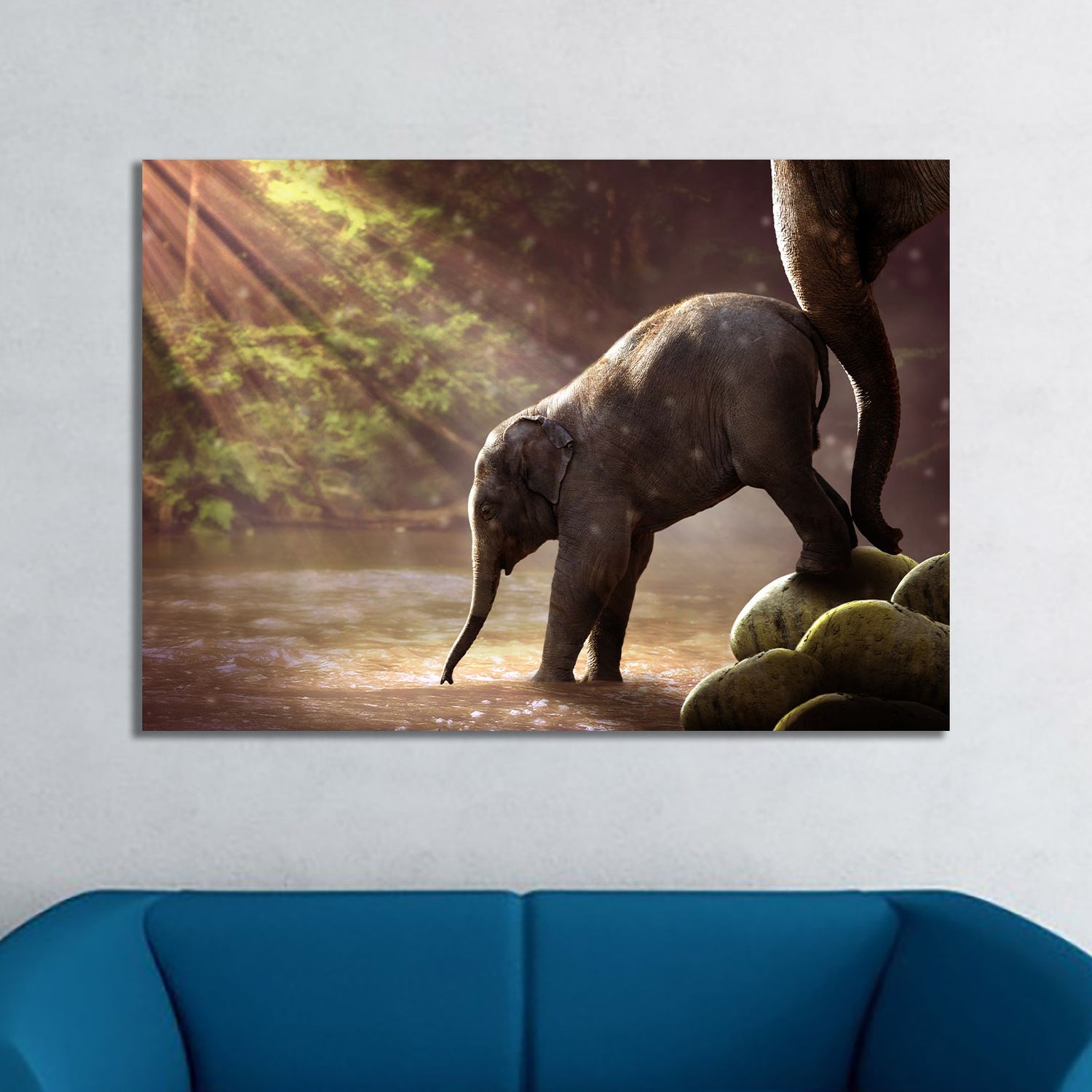 Зааны тугал фото