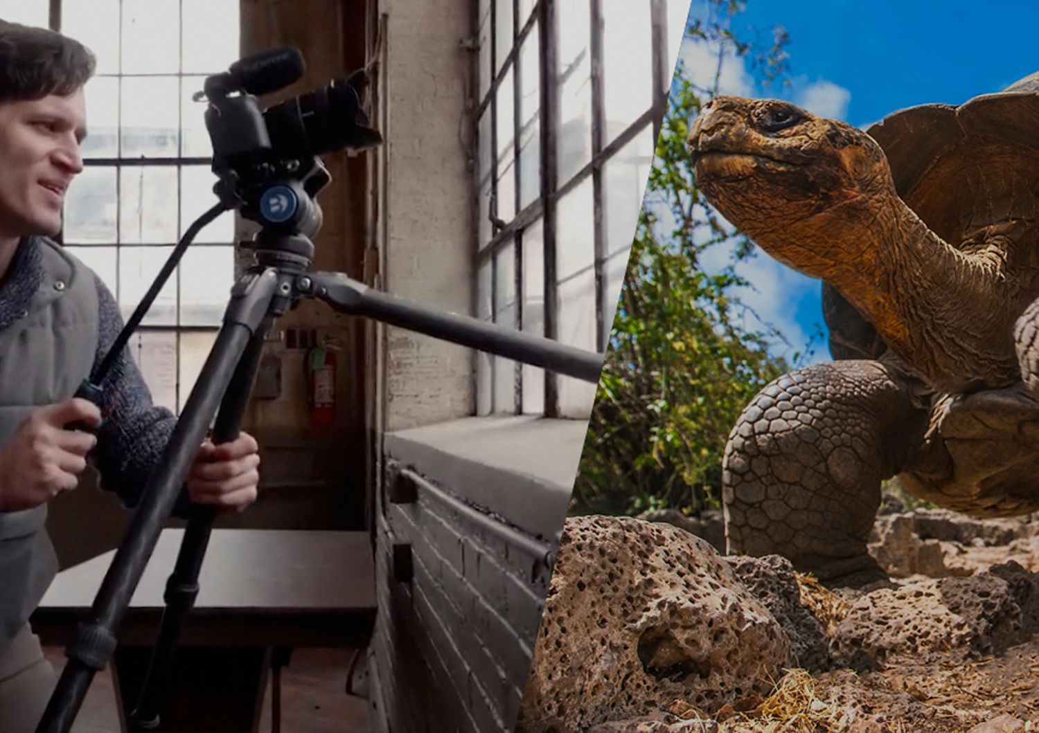 TORTOISE SERIES TRIPOD