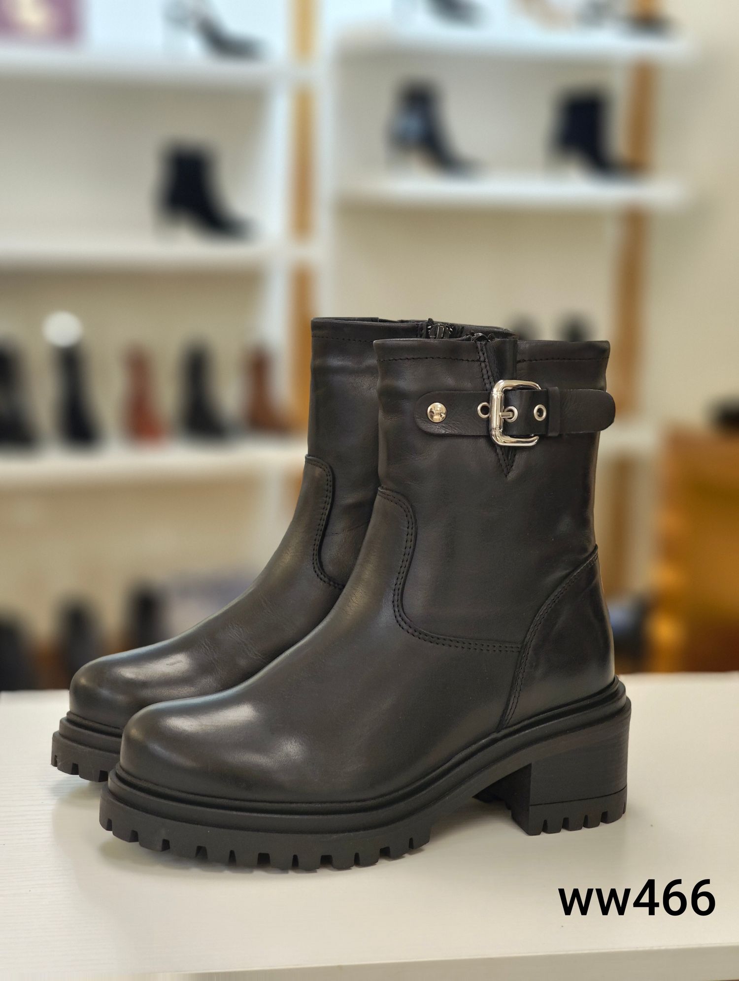 ww466 /IBER CREATOR /