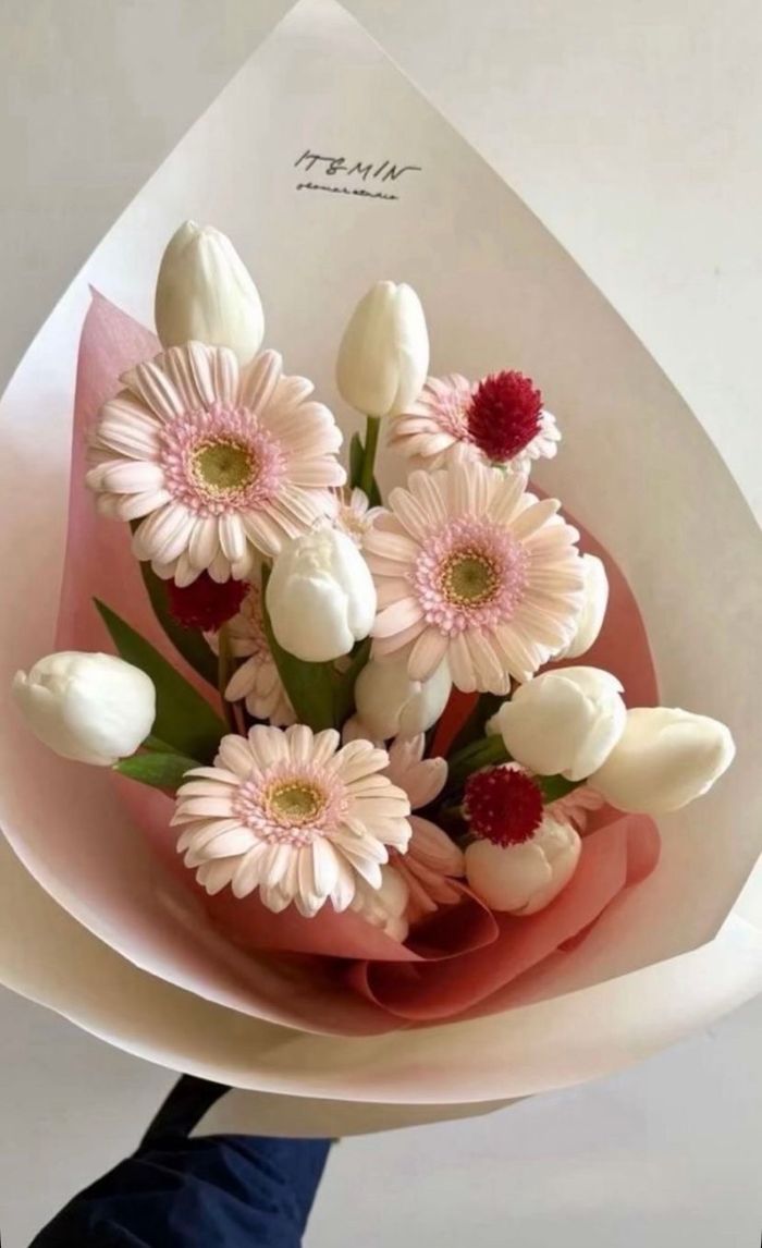 Голланд алтанзул мини гербера