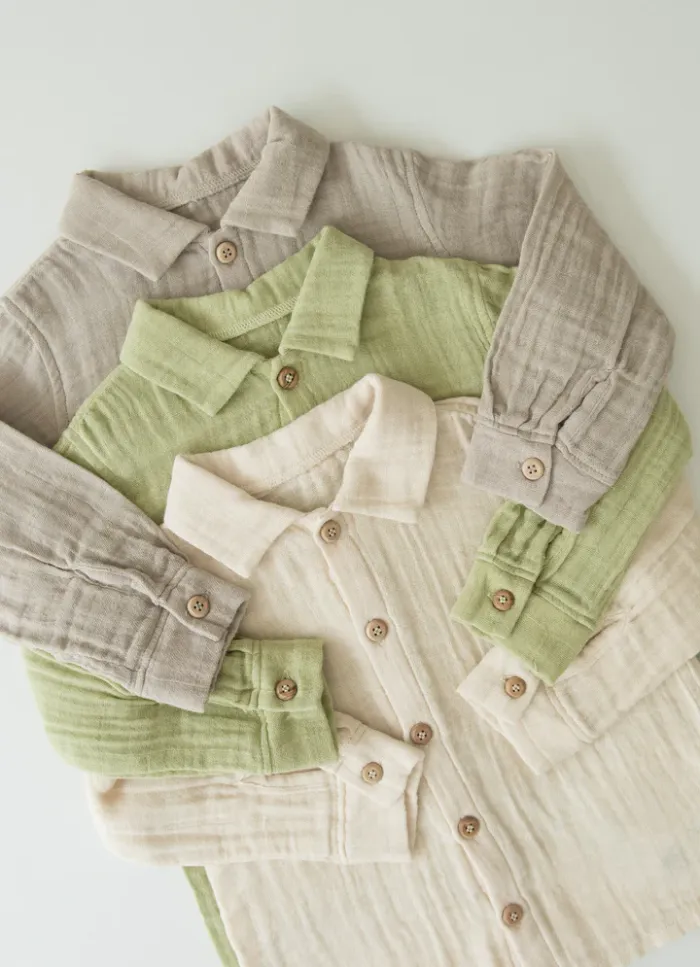 Тааран цамц