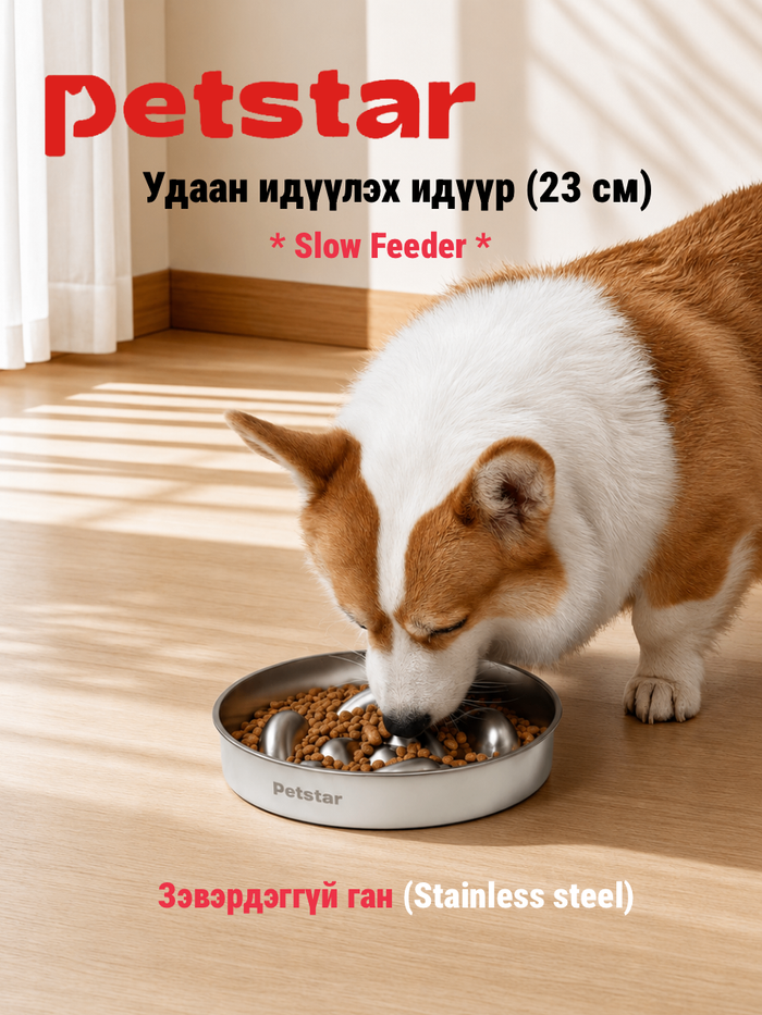 Удаан идүүлэх идүүр - Slow feeder