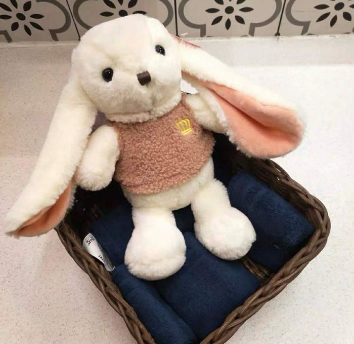 Урт чихтэй туулай