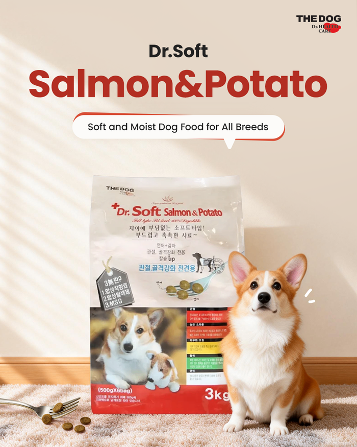 Dr. Soft Salmon + Potato - Яргай загас + Төмсний орцтой зөөлөн 3кг