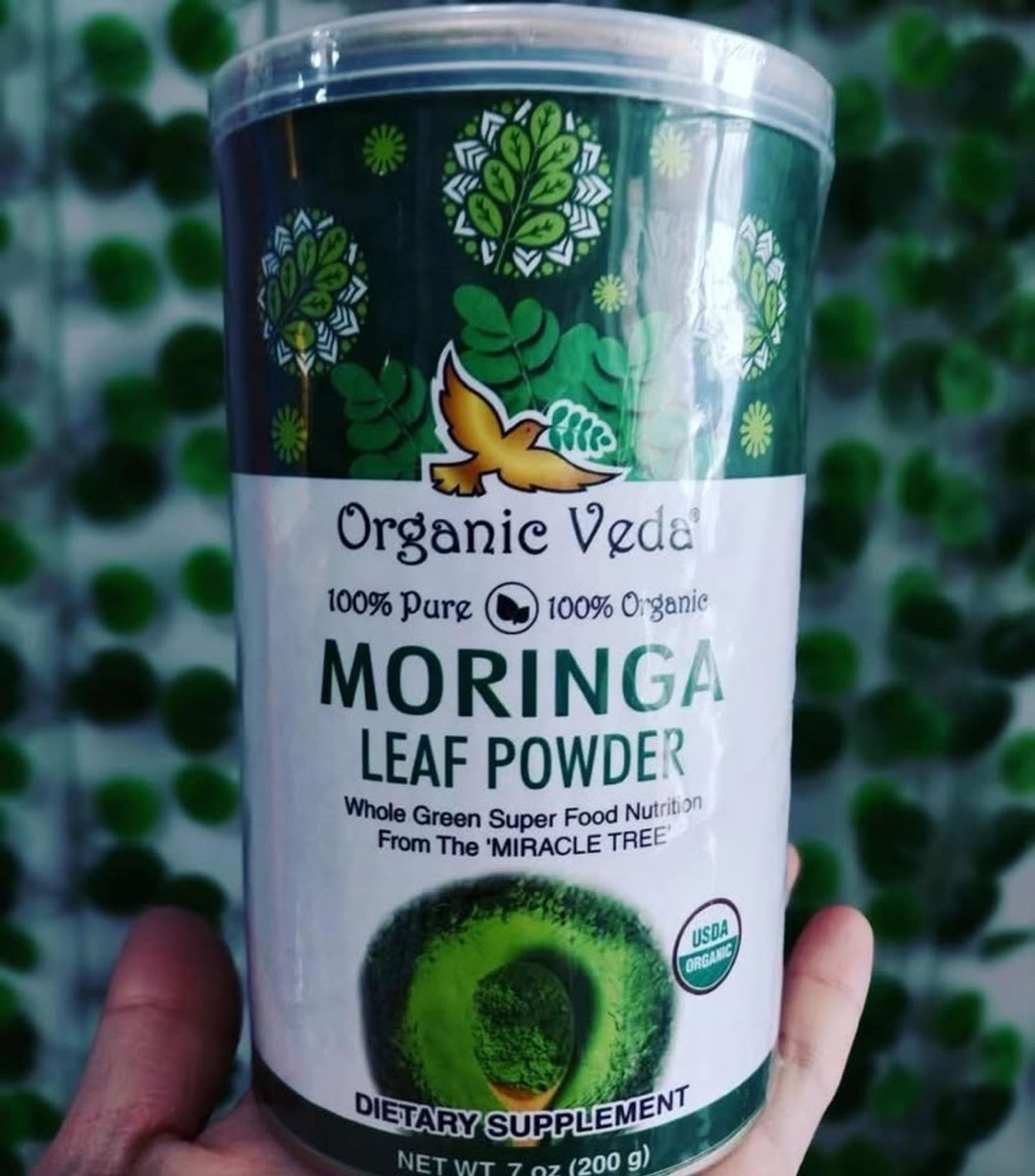 Моринга нунтаг