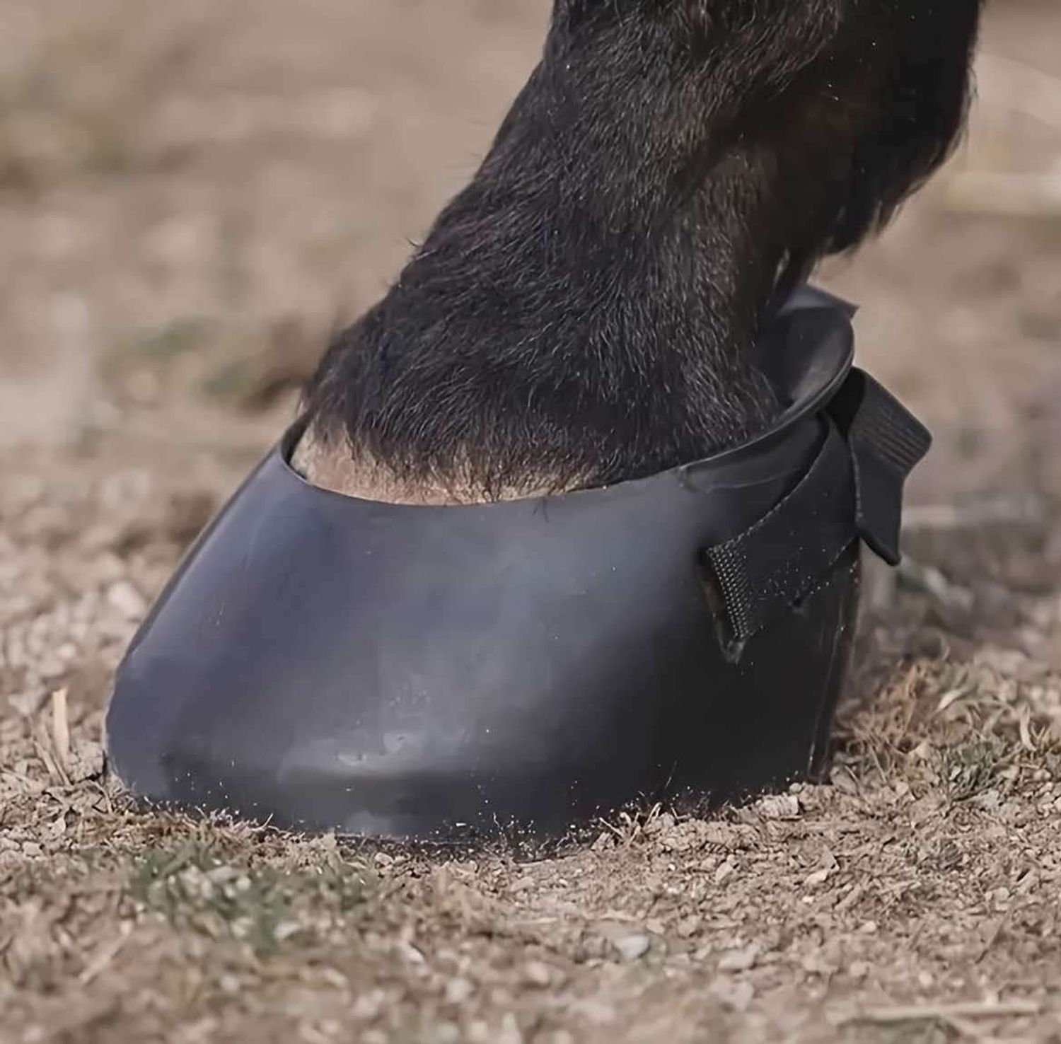 Ул, туурайн хамгаалалт 