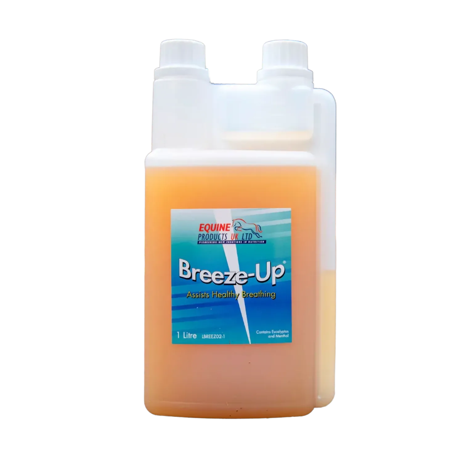  Амьсгал удирдагч