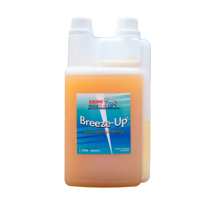  Амьсгал удирдагч