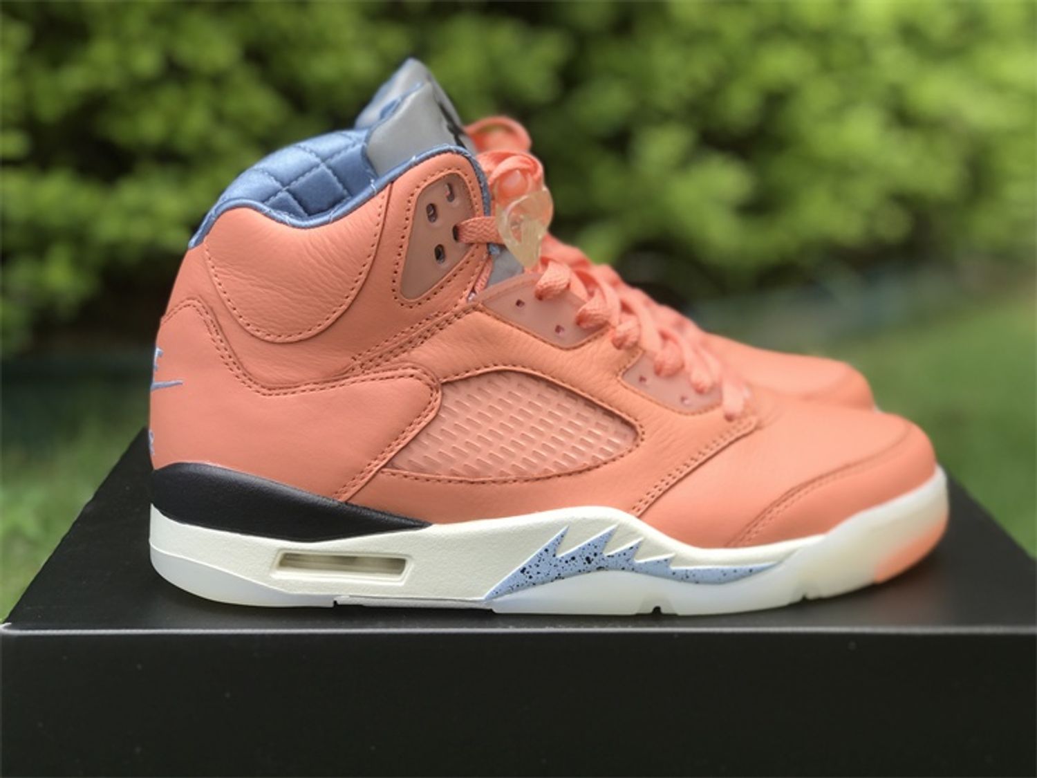 Air Jordan 5 DJ Khaled