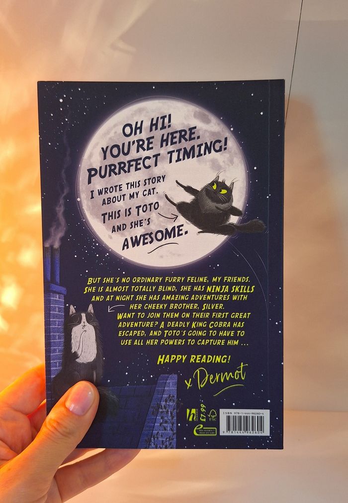 Toto the Ninja Cat 