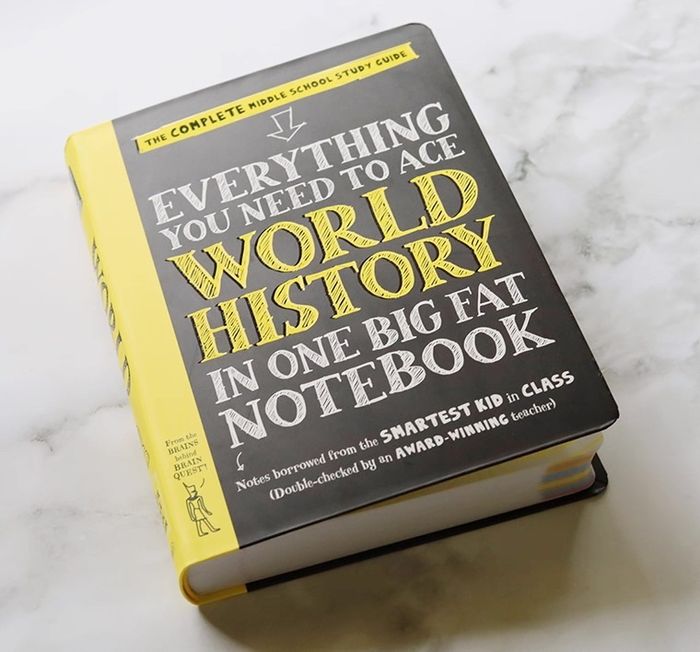Everything you need to ace WORLD HISTORY in one big fat notebook 