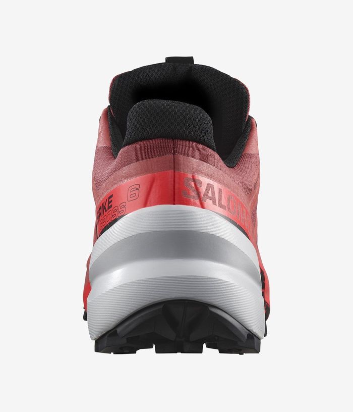 Salomon | Spikecross 6 | Trailrunning | GTX  