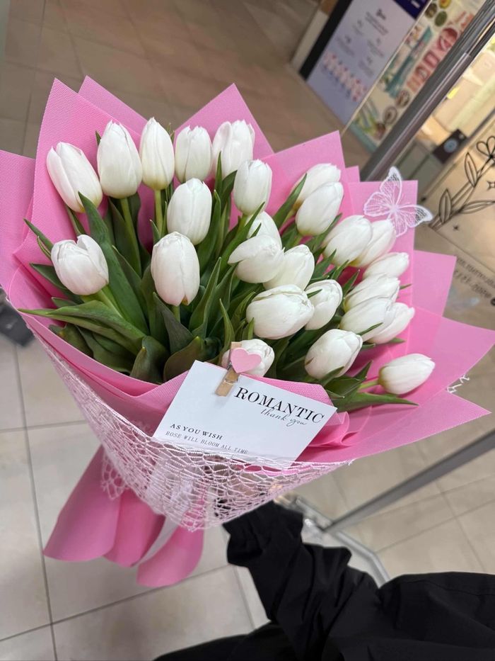 Голланд tulips
