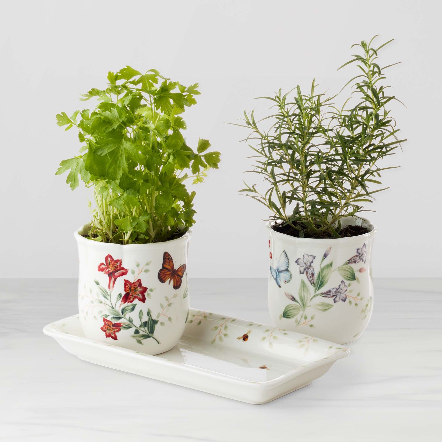 BM DW HERB POTS W/TRAY, 3PC SET