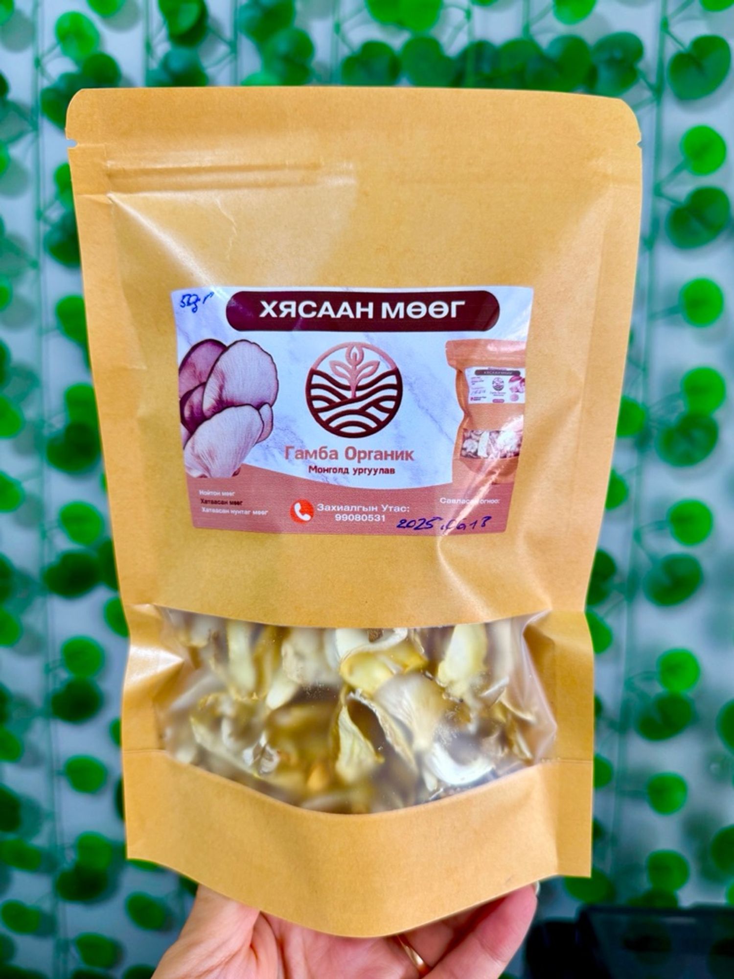Хатаасан хясаан мөөг 50 гр