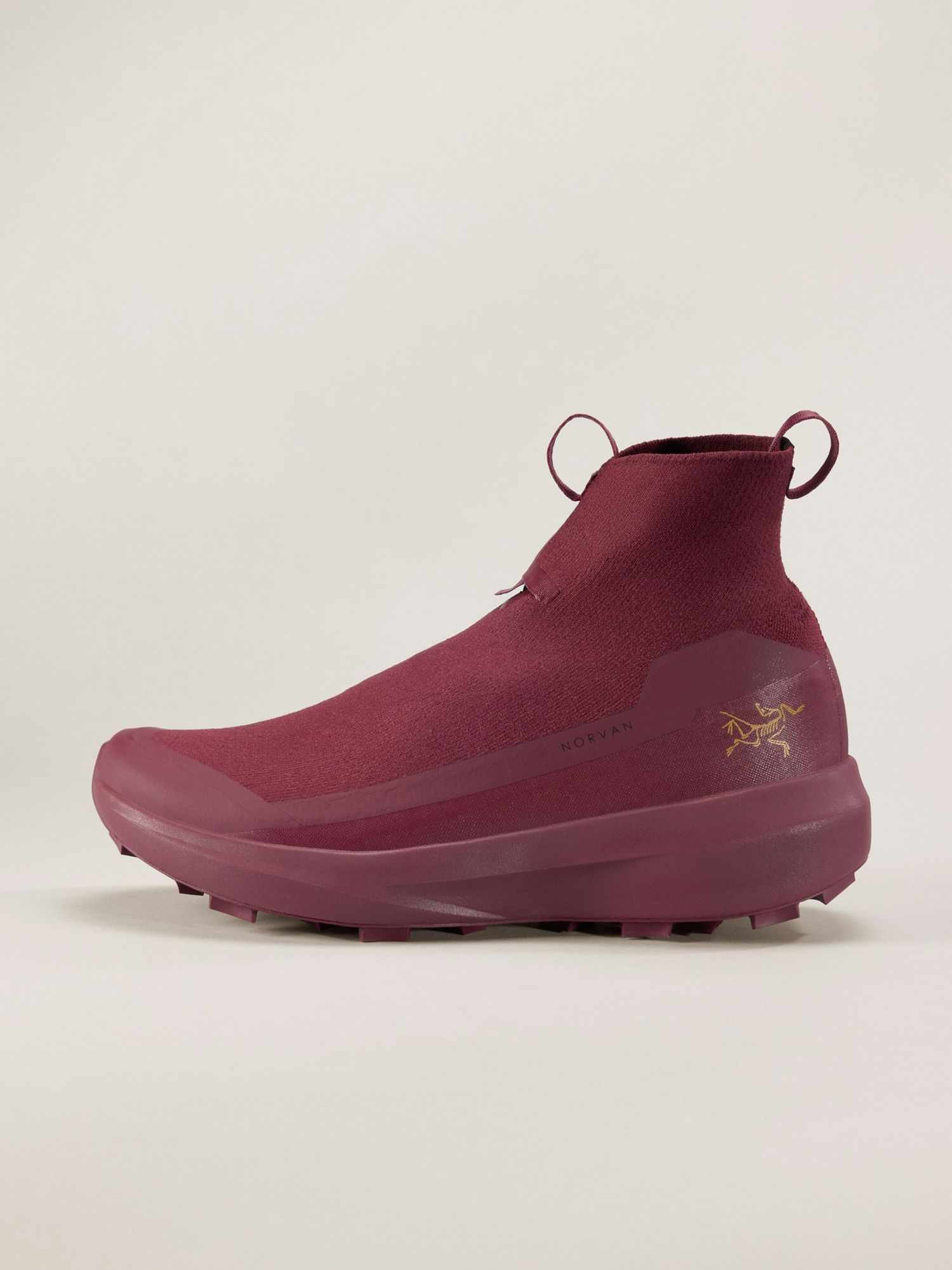 Arc'teryx | Norvan 4 Nivalis | Women