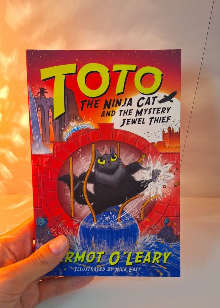Toto the Ninja Cat 