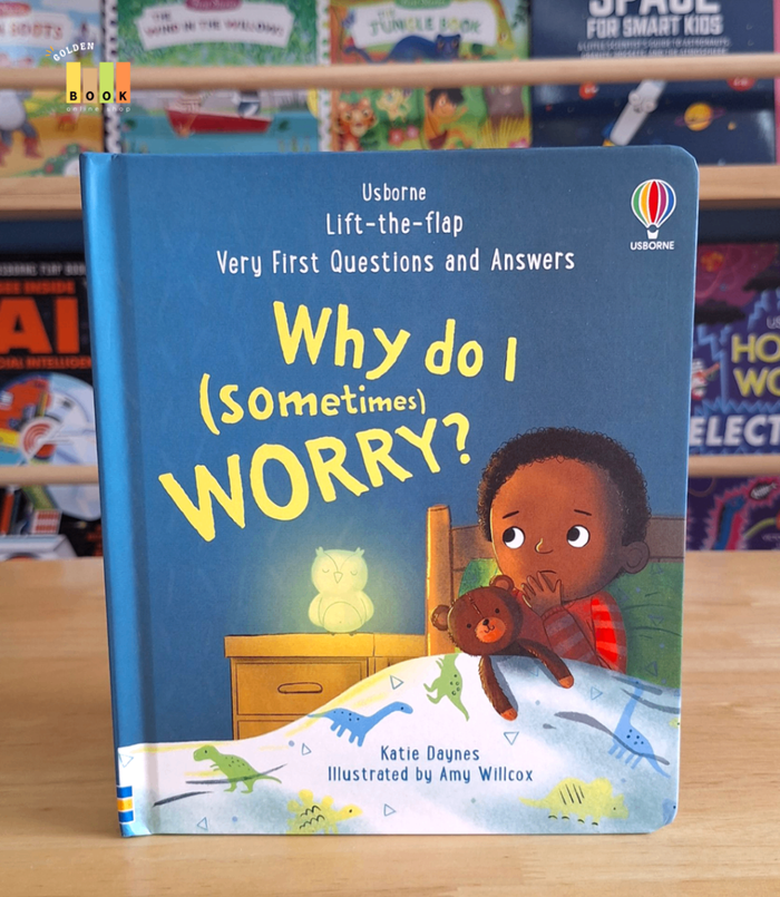 Why do I (sometimes) worry?