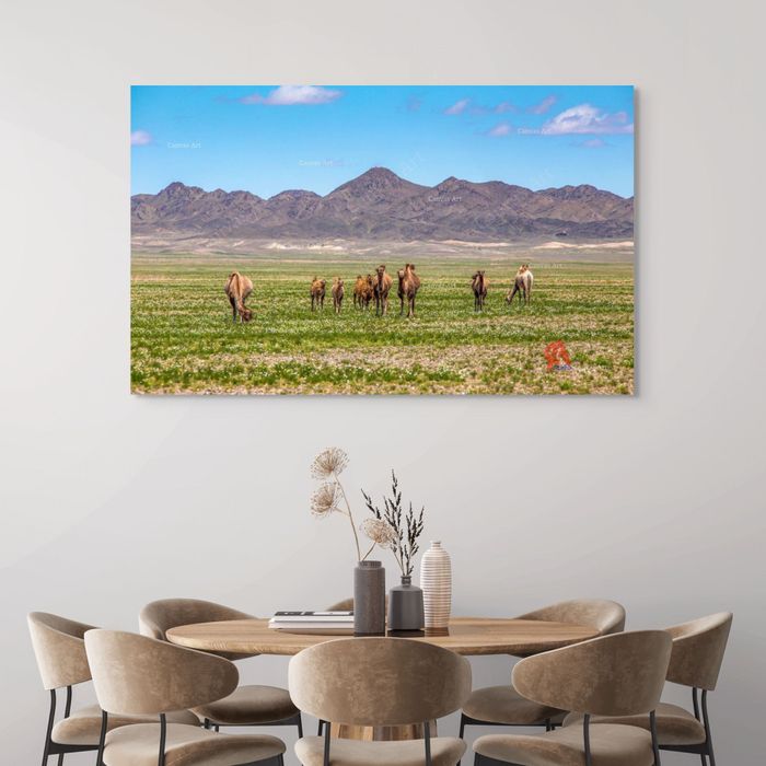 Цэций хайрхан