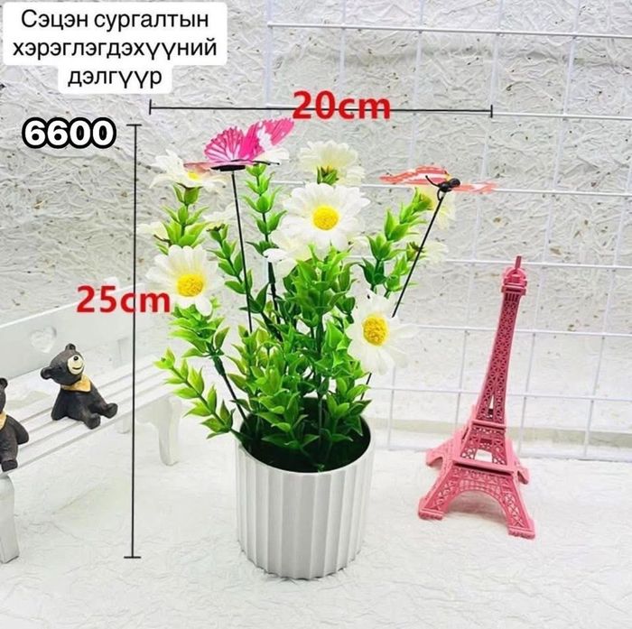 Эрвээхийтэй цэцэг