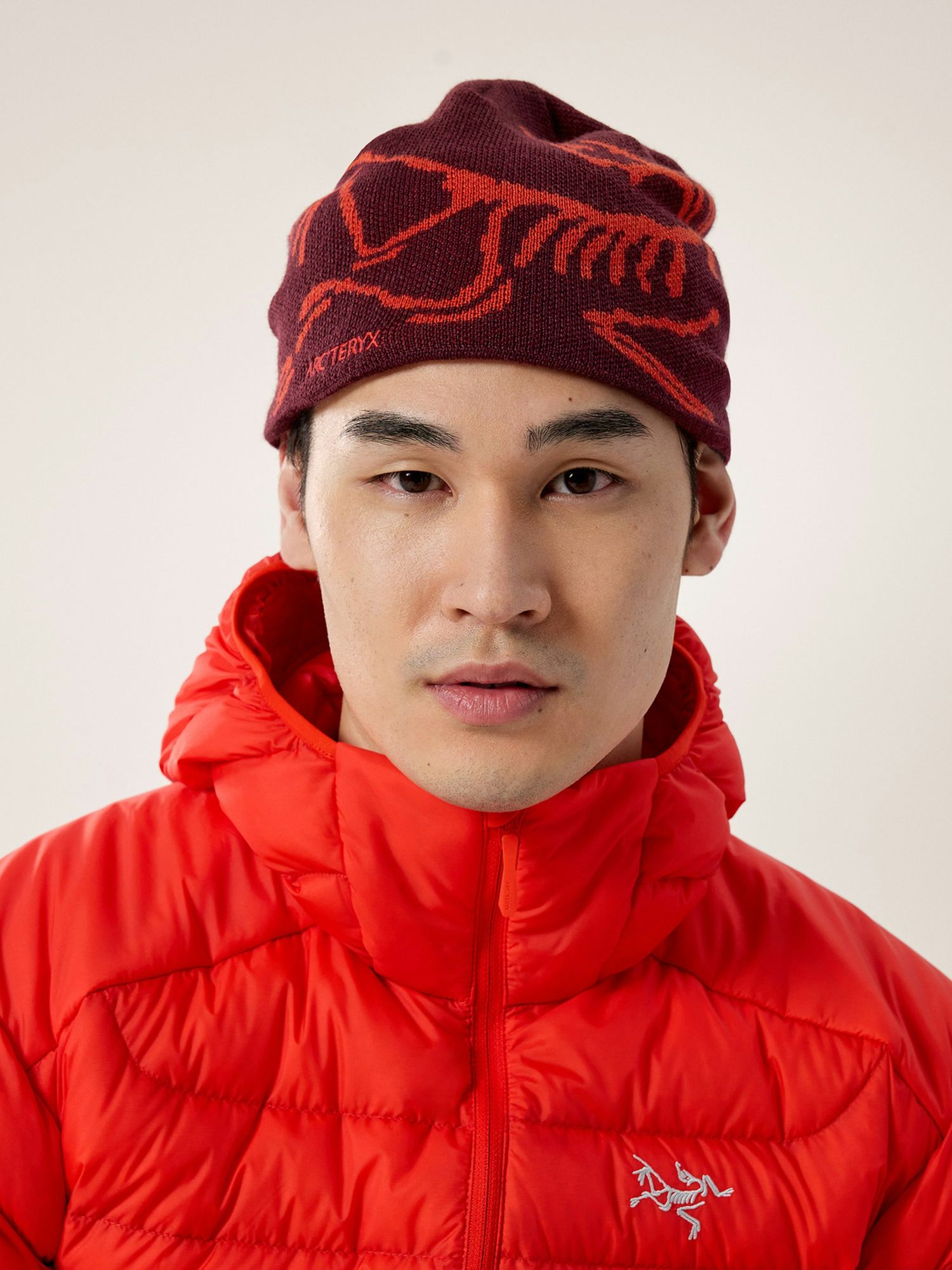 Arc'teryx | Bird Head Toque   