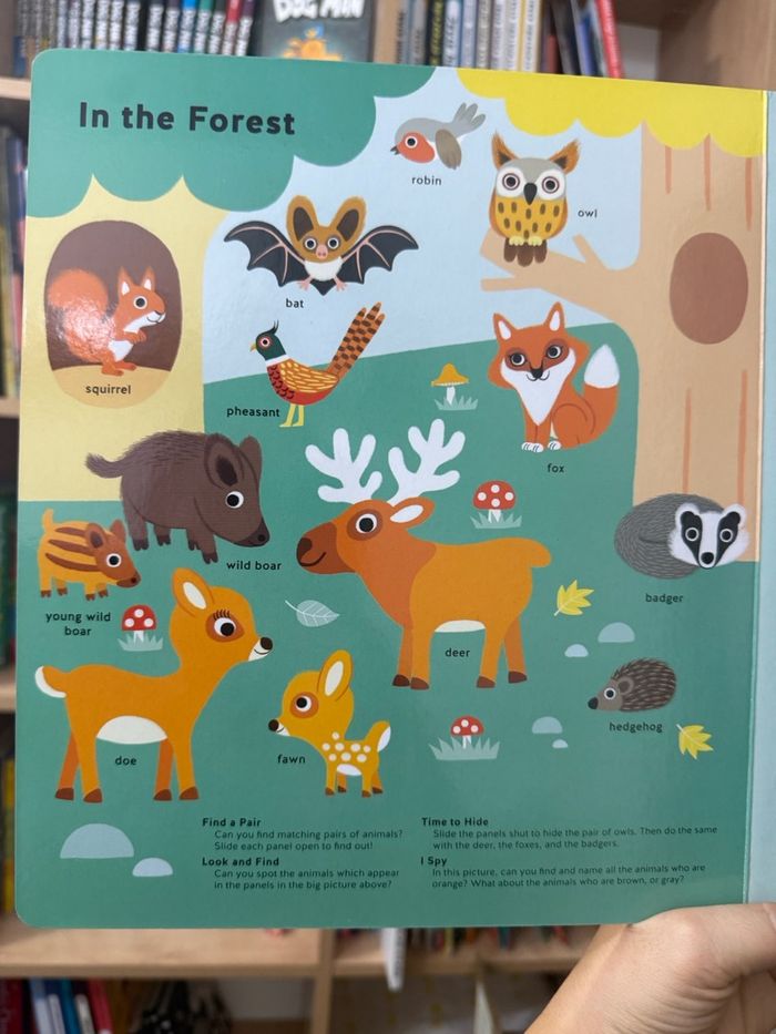 Animals! Matching game book