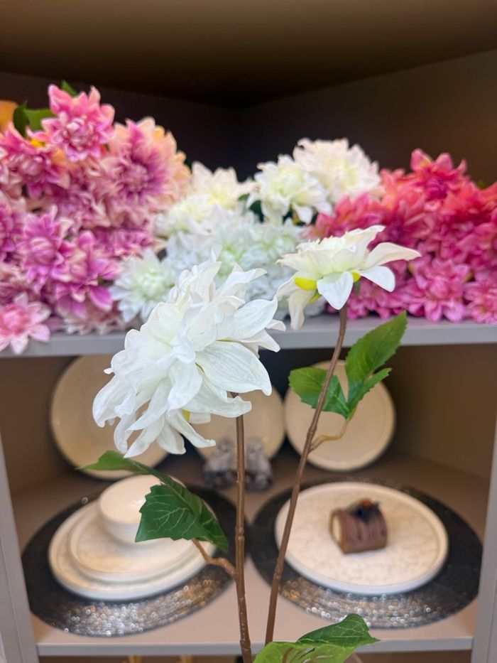 хиймэл мандарваа