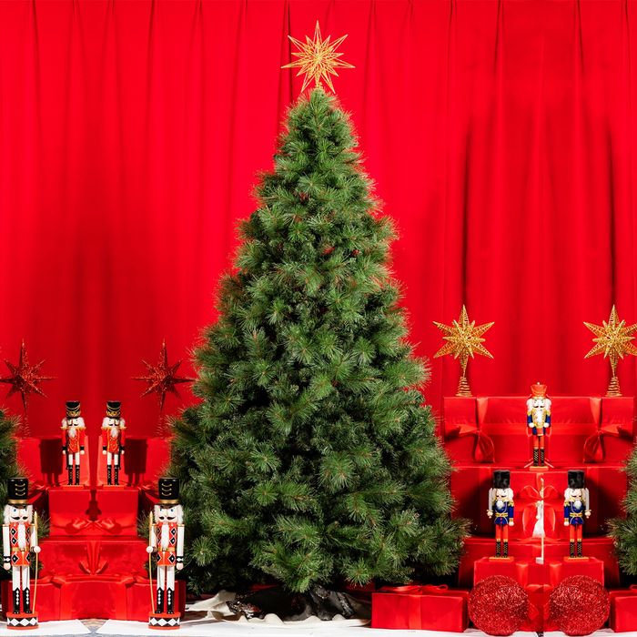 Шүүдрийн дусал С