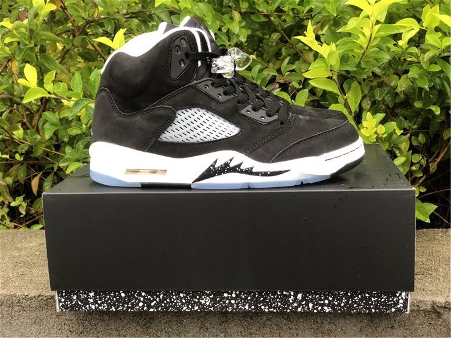 Jordan 5 Retro Moonlight (2021)