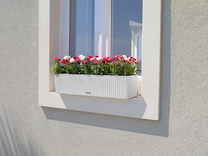 BALCONERA Cottage 80