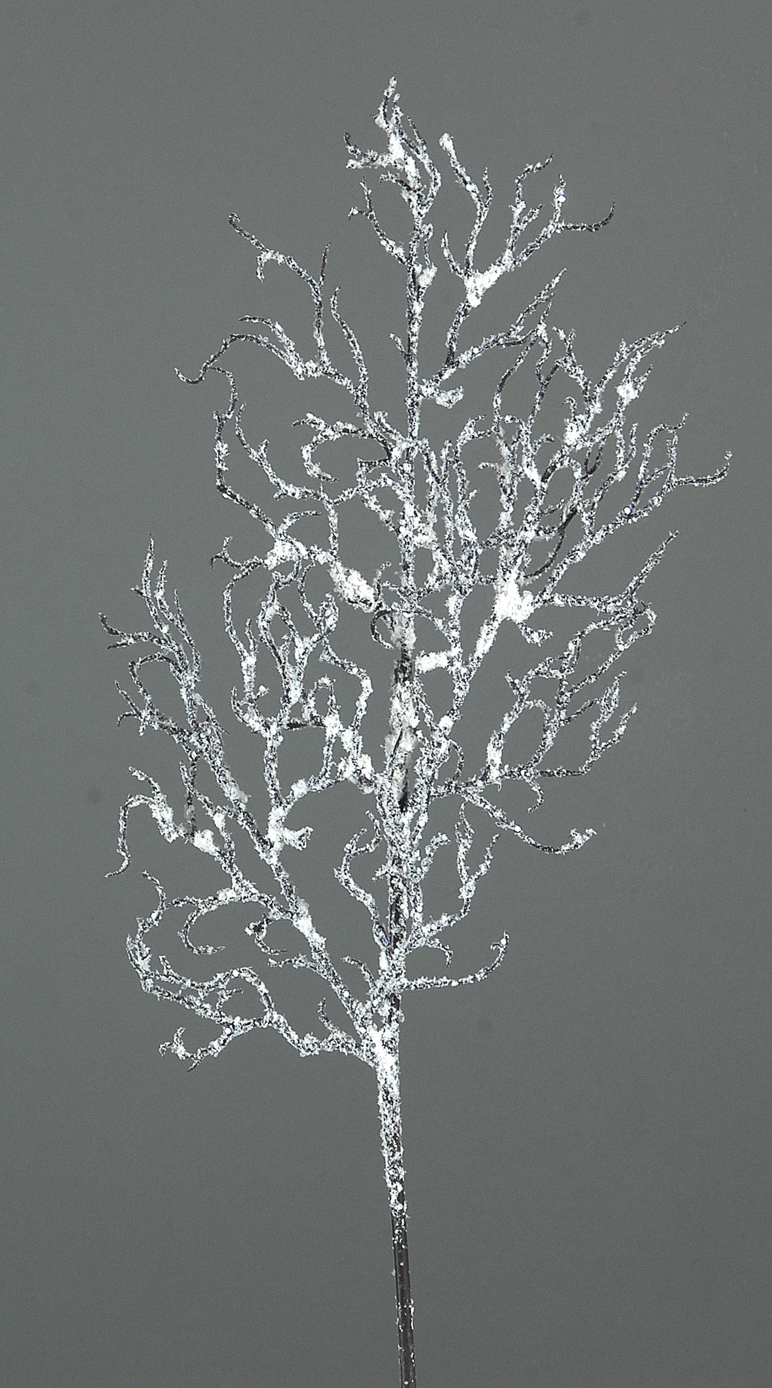 Xmas frozen branch
