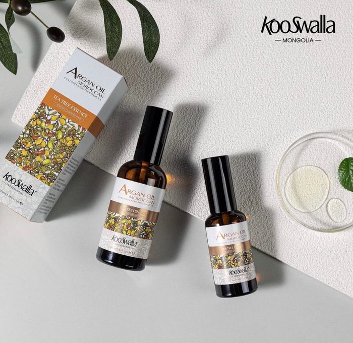 Цайны модны хандтай, гүн тэжээл өгөх ойл