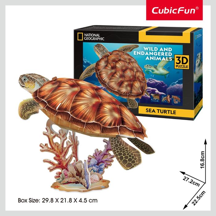 Sea Turtle