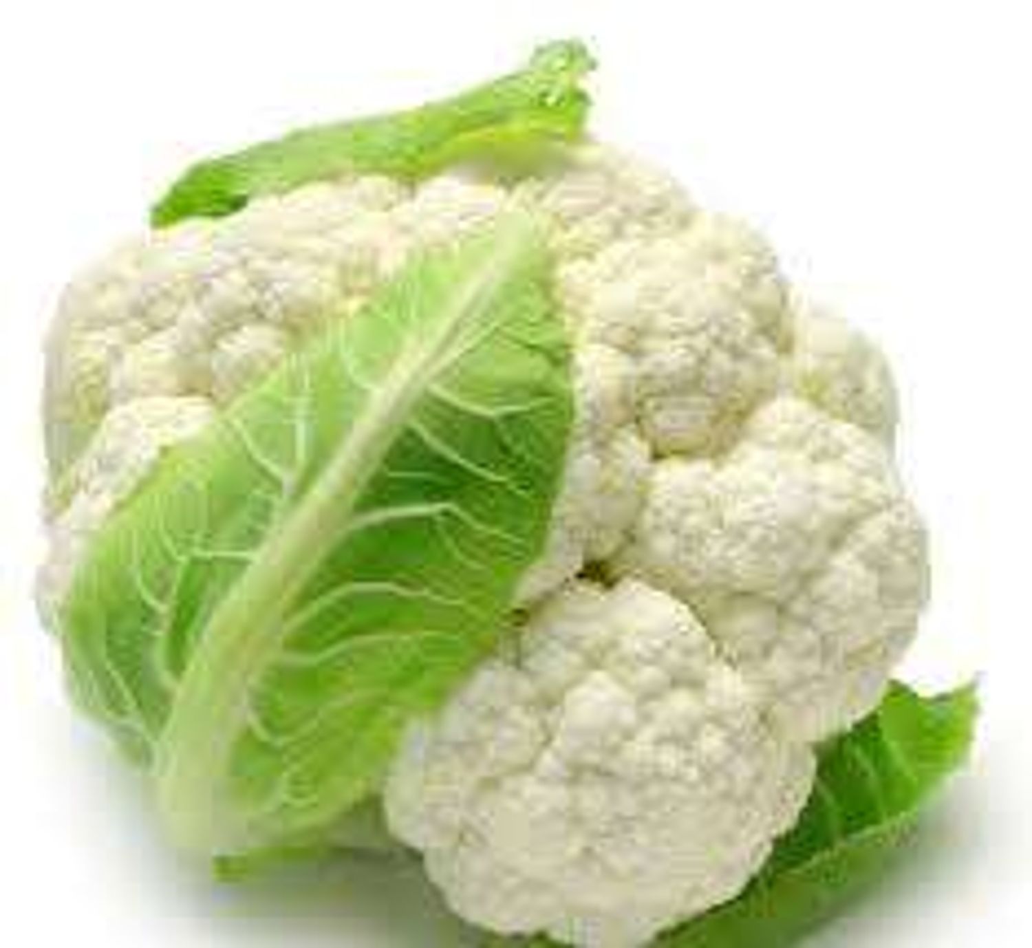 Цагаан цэцэгт байцаа