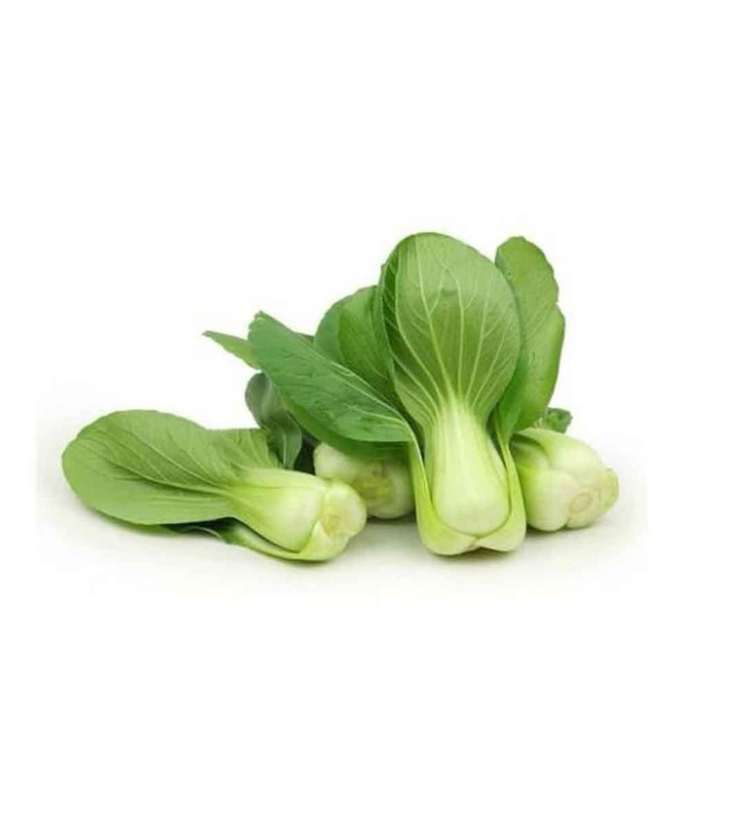 Нарийн ногоо