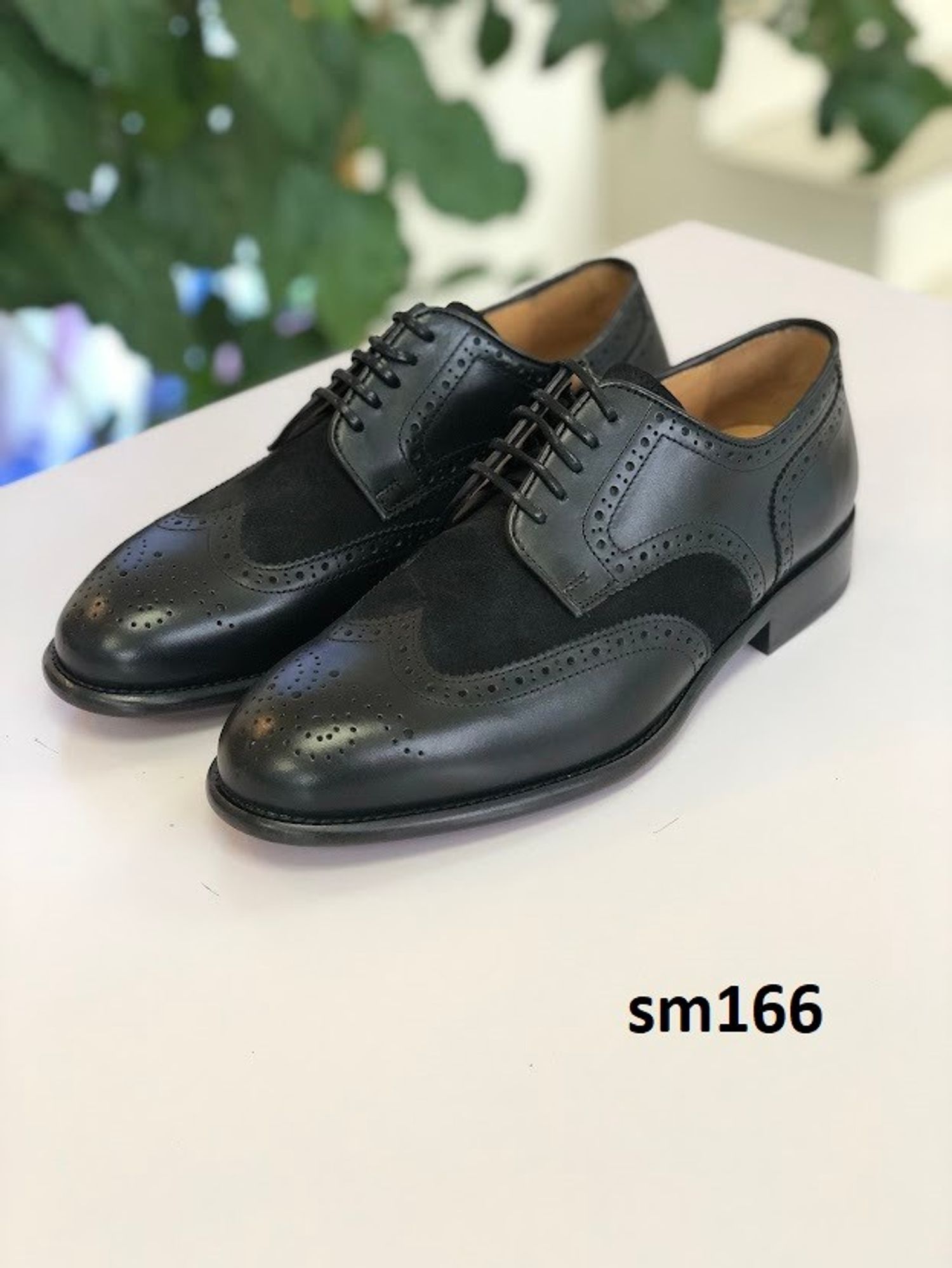 Ferreira/sm166/