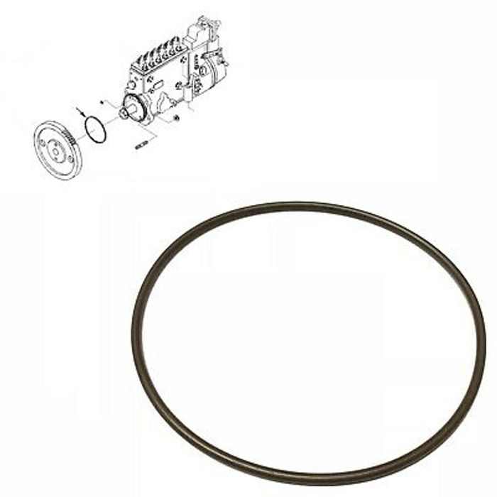 Seal-Rectangular Ring, Жийрэг