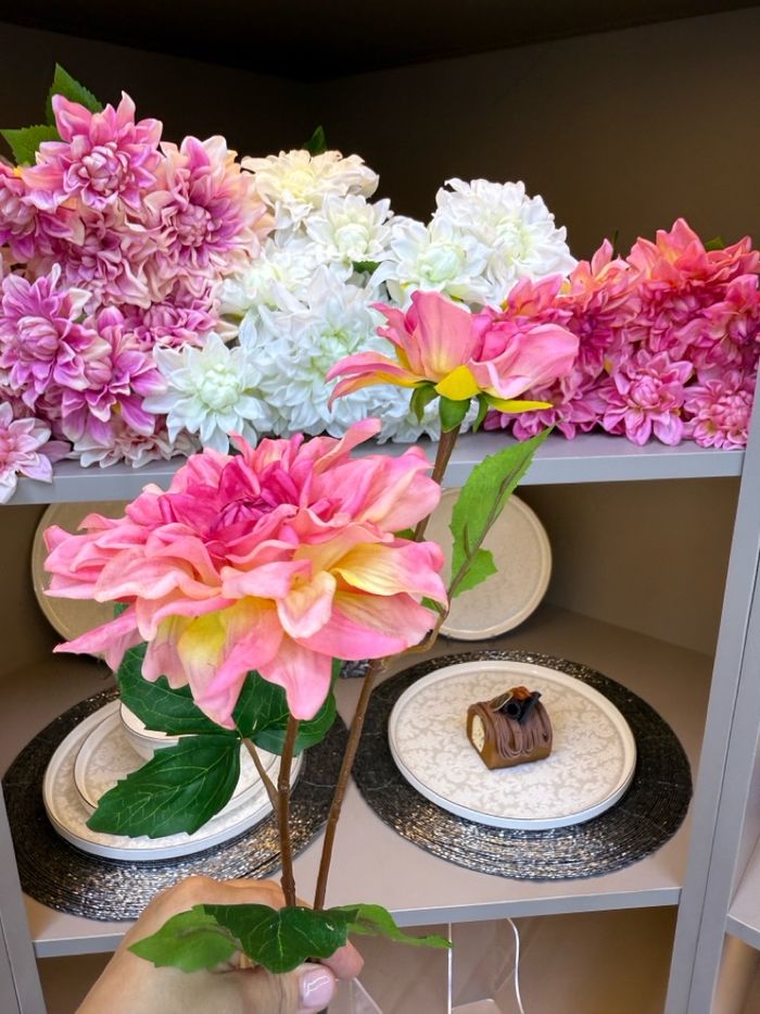 хиймэл мандарваа