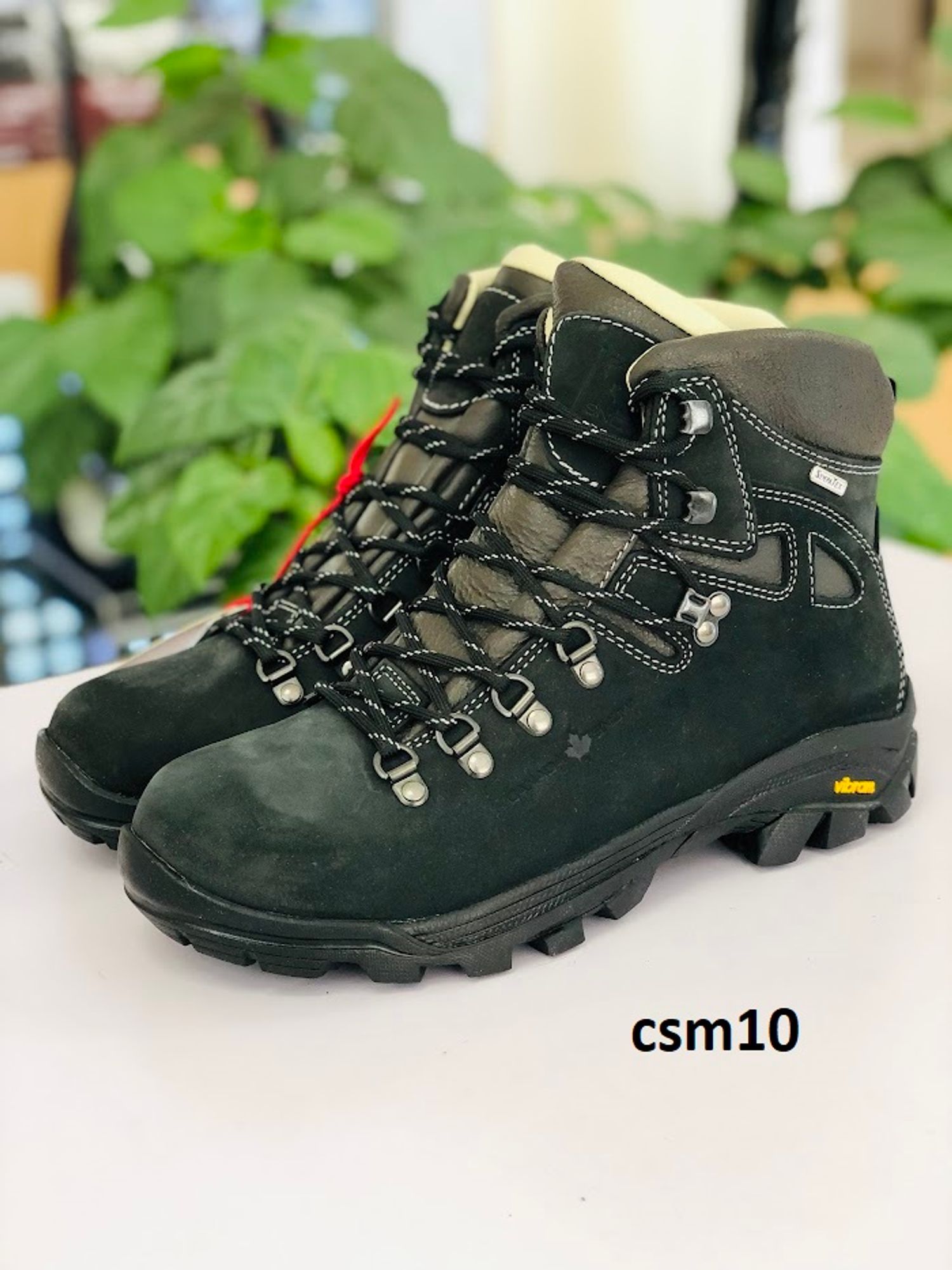 Canada snow  / csm10 /