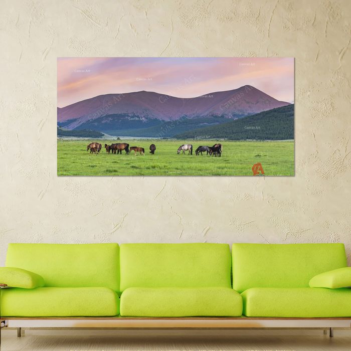 Ноён хангай уул