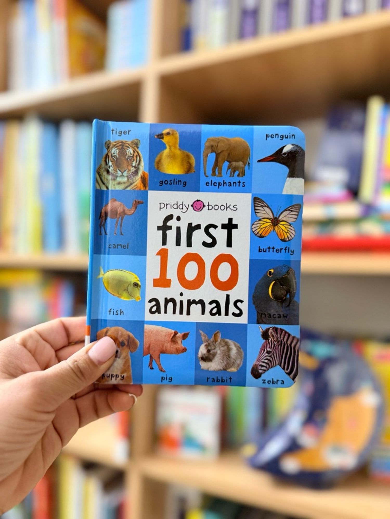 First 100 animals