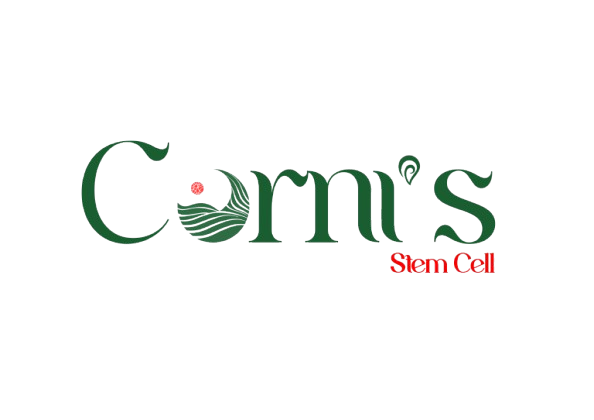 Сэтгэгдэл 3