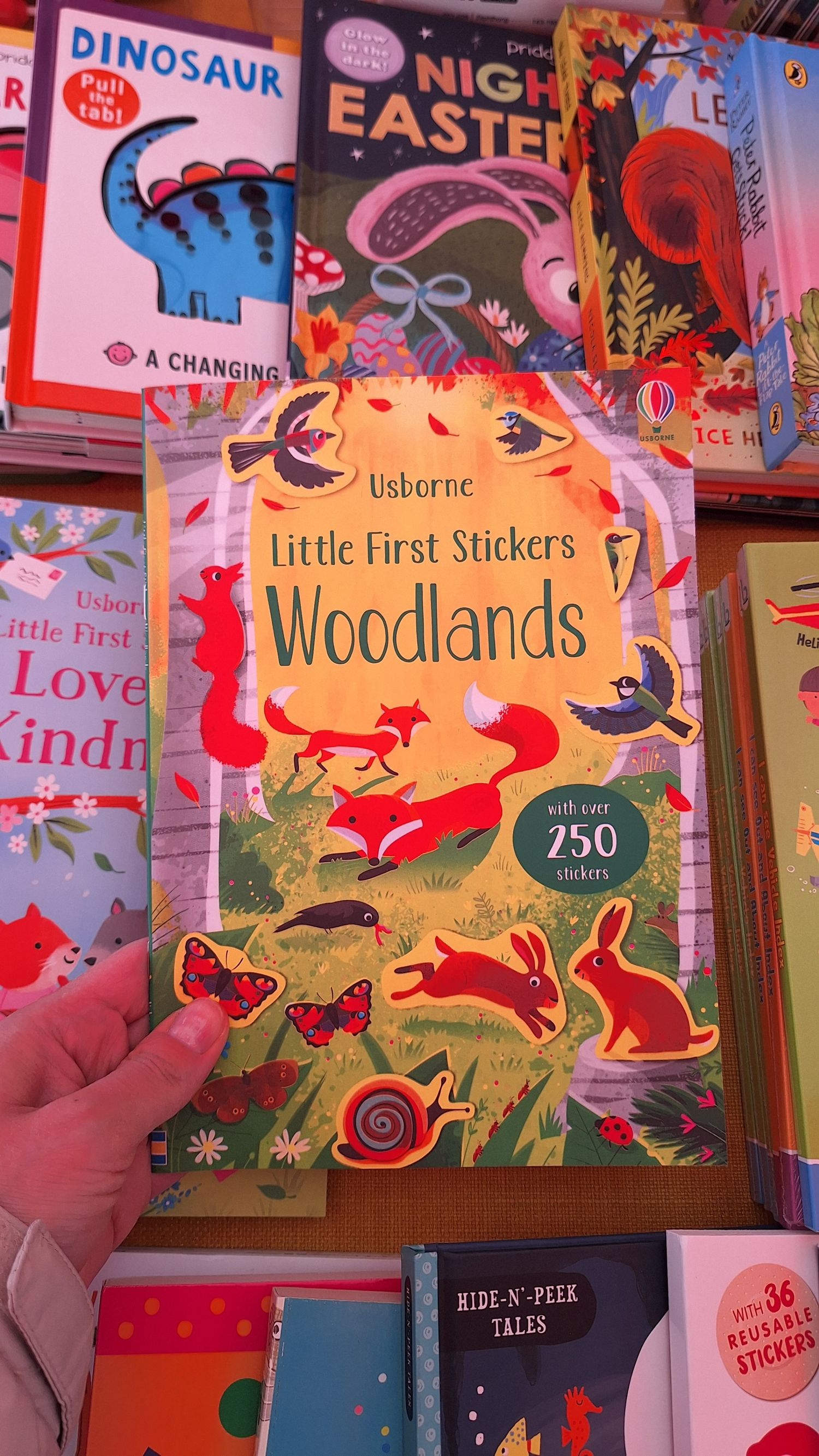 Little First Stickers Woodlands 